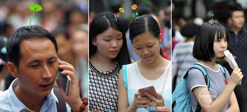 Sprout Heads Are A Trend In China