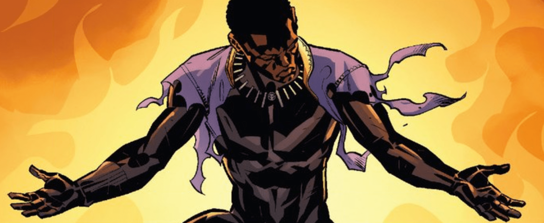 In Defense Of Shocking Black Panther 2 Twist