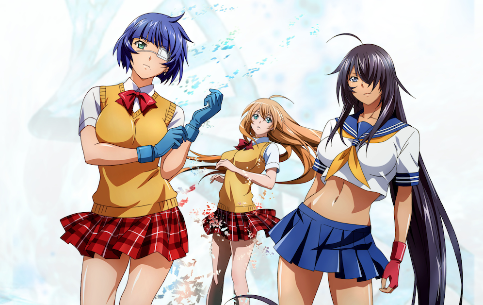 Ikki Tousen, aggressive, one Piece, wiki, manga, artist, mangaka, fiction,  anime, character