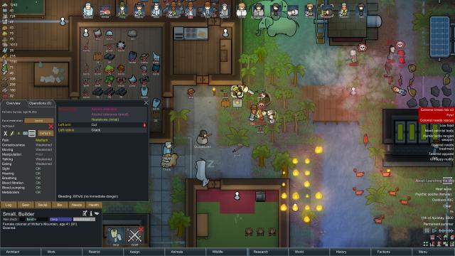 RimWorld Removed From Australian Steam Store After Being Refused Classification