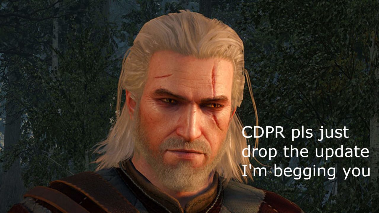 8 Changes We'd Like To See In The Witcher Remake